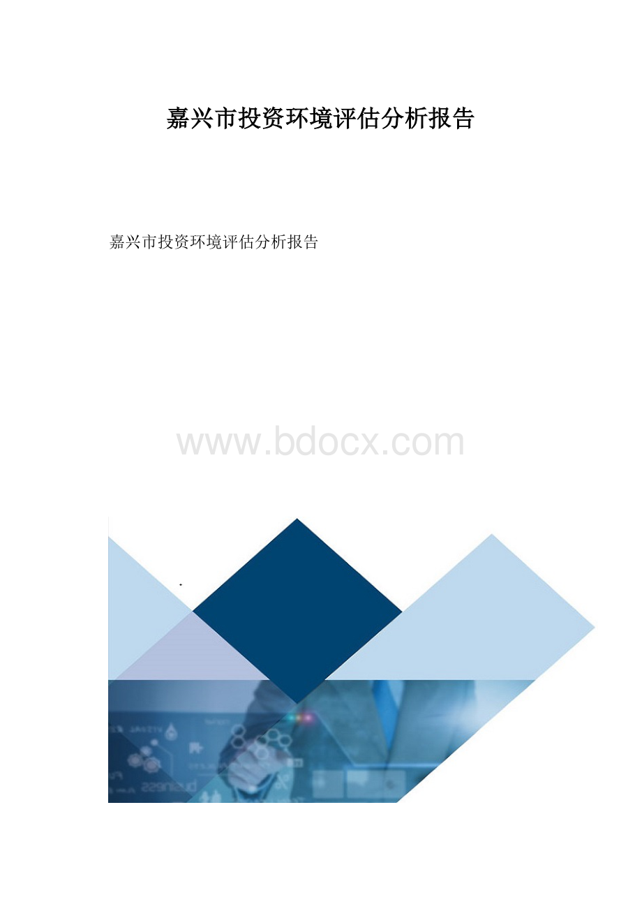 嘉兴市投资环境评估分析报告.docx