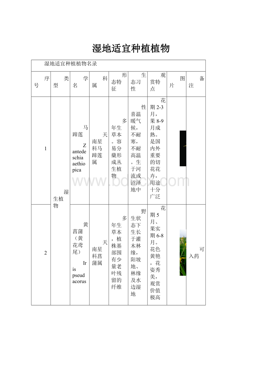 湿地适宜种植植物.docx