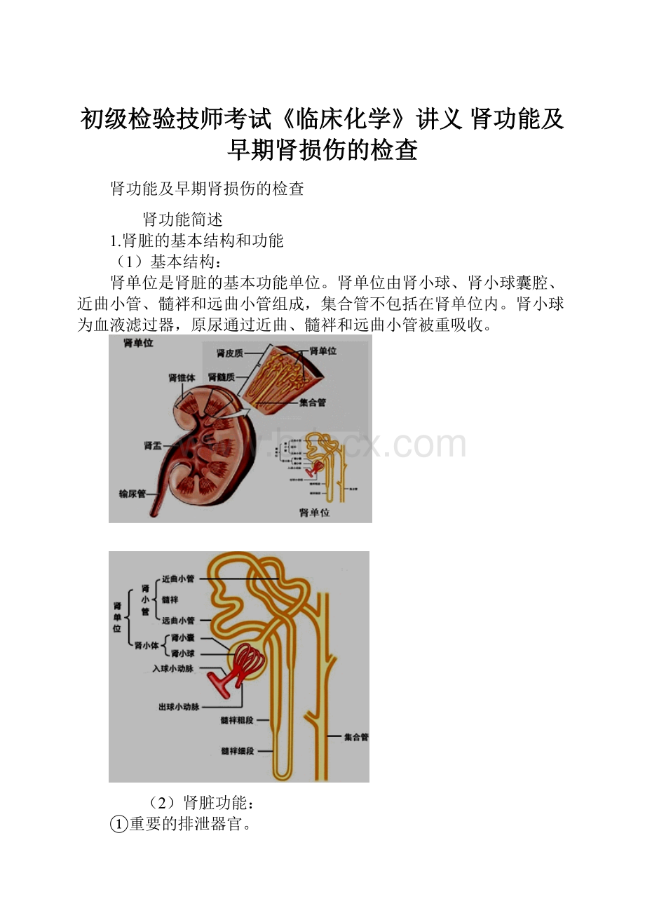 初级检验技师考试《临床化学》讲义 肾功能及早期肾损伤的检查.docx_第1页