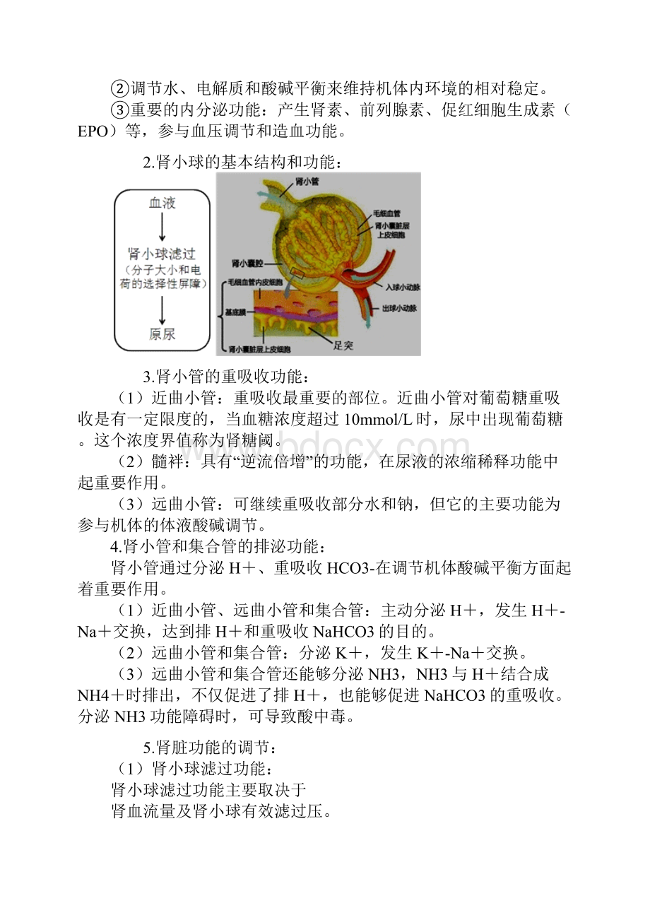 初级检验技师考试《临床化学》讲义 肾功能及早期肾损伤的检查.docx_第2页