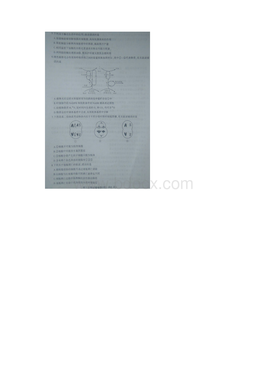 安徽省淮北市届高三第一次模拟考试生物试题 扫描版含答案.docx_第2页