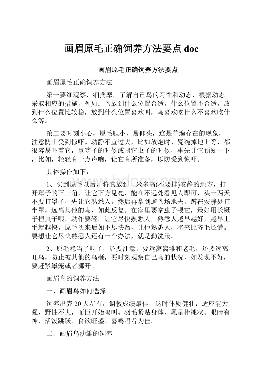 画眉原毛正确饲养方法要点doc.docx