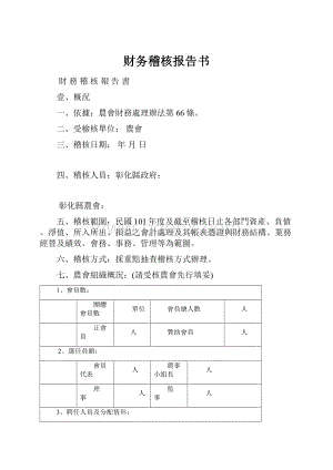 财务稽核报告书.docx