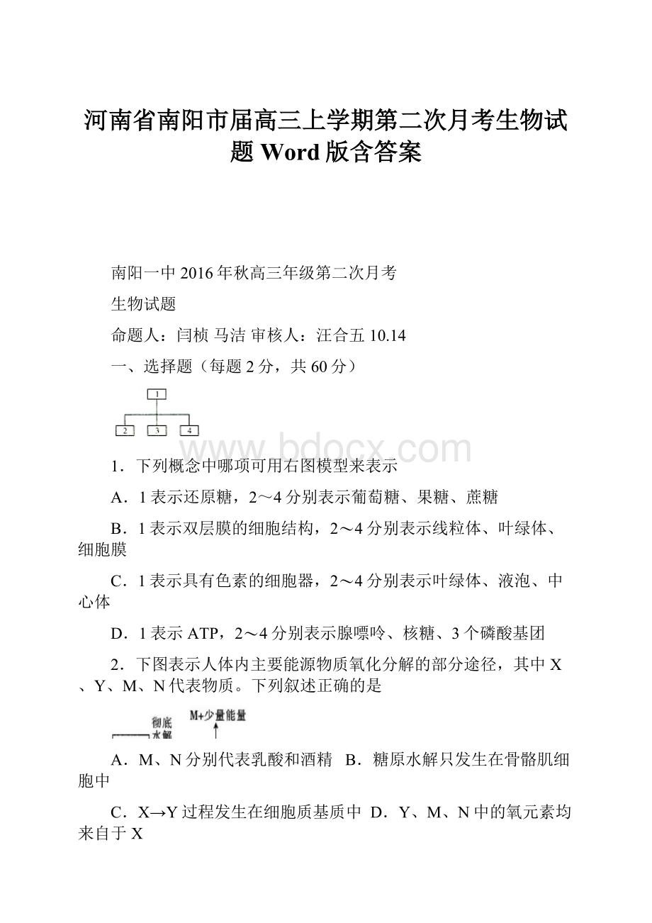 河南省南阳市届高三上学期第二次月考生物试题 Word版含答案.docx