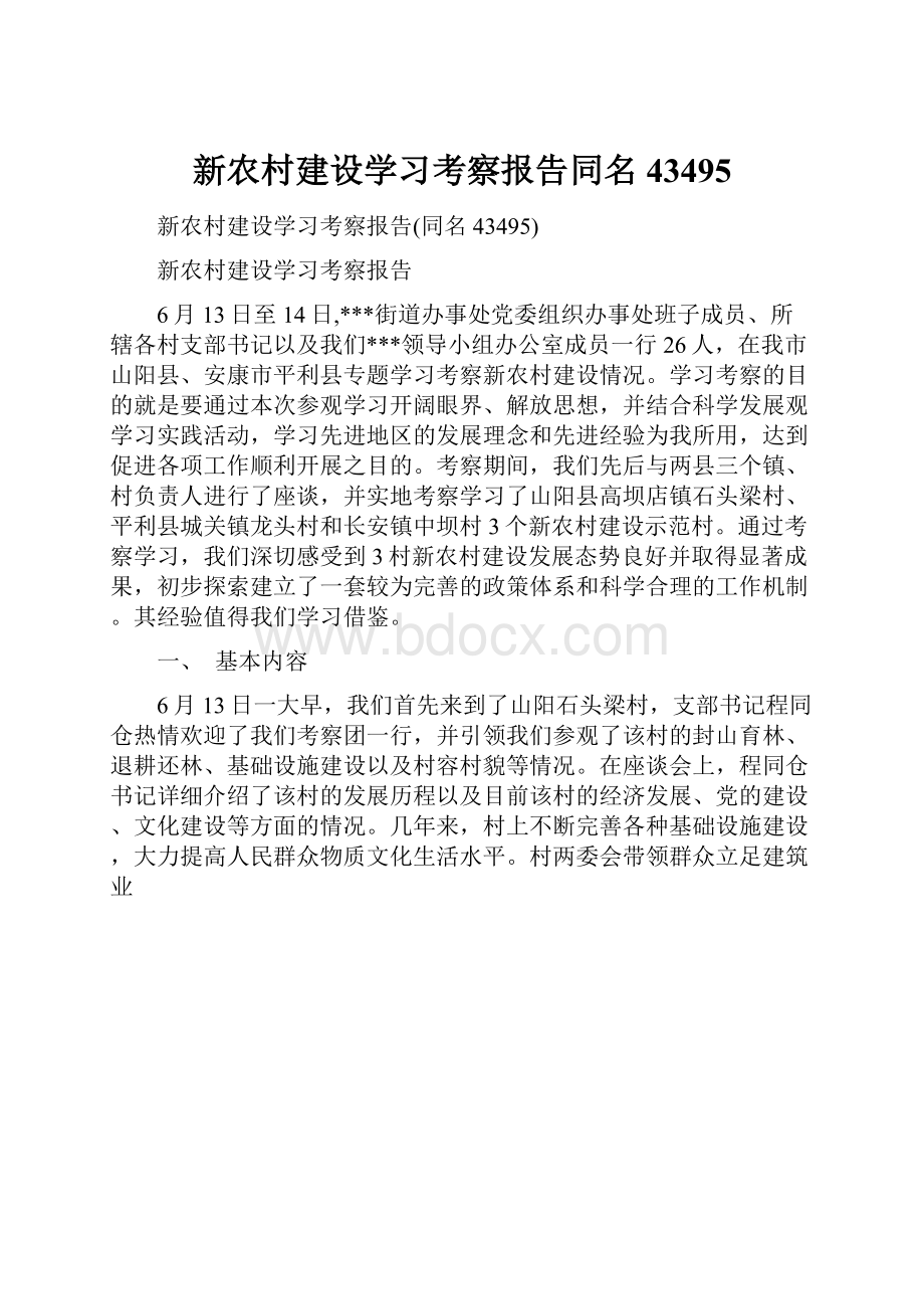 新农村建设学习考察报告同名43495.docx