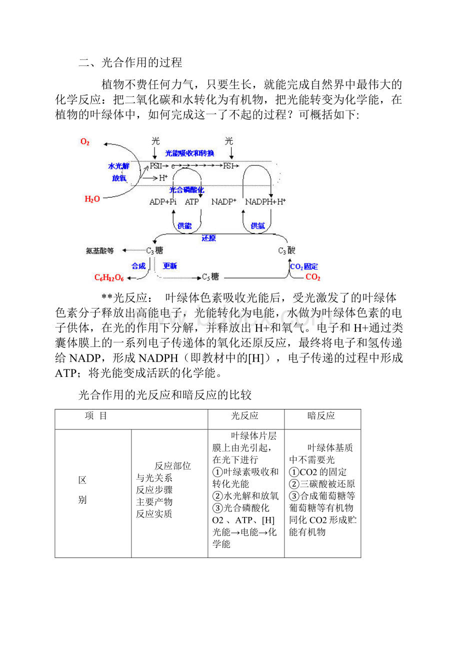 生物的新陈代谢.docx_第2页