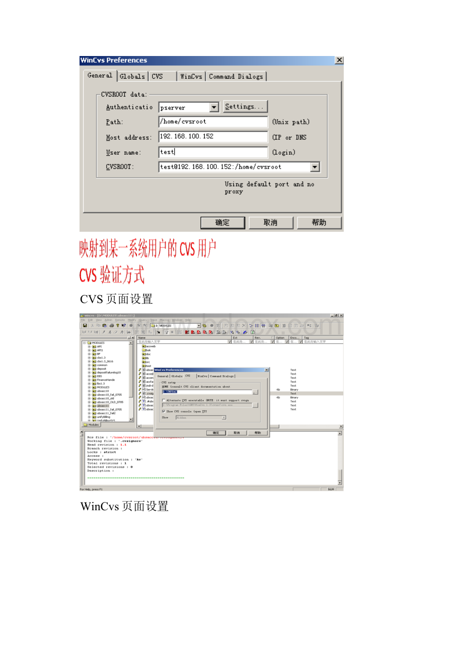 CVS操作手册28p.docx_第3页