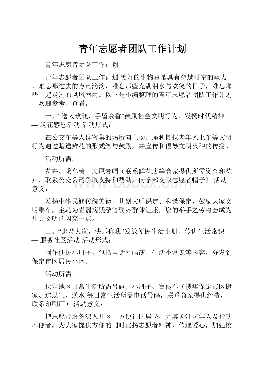 青年志愿者团队工作计划.docx