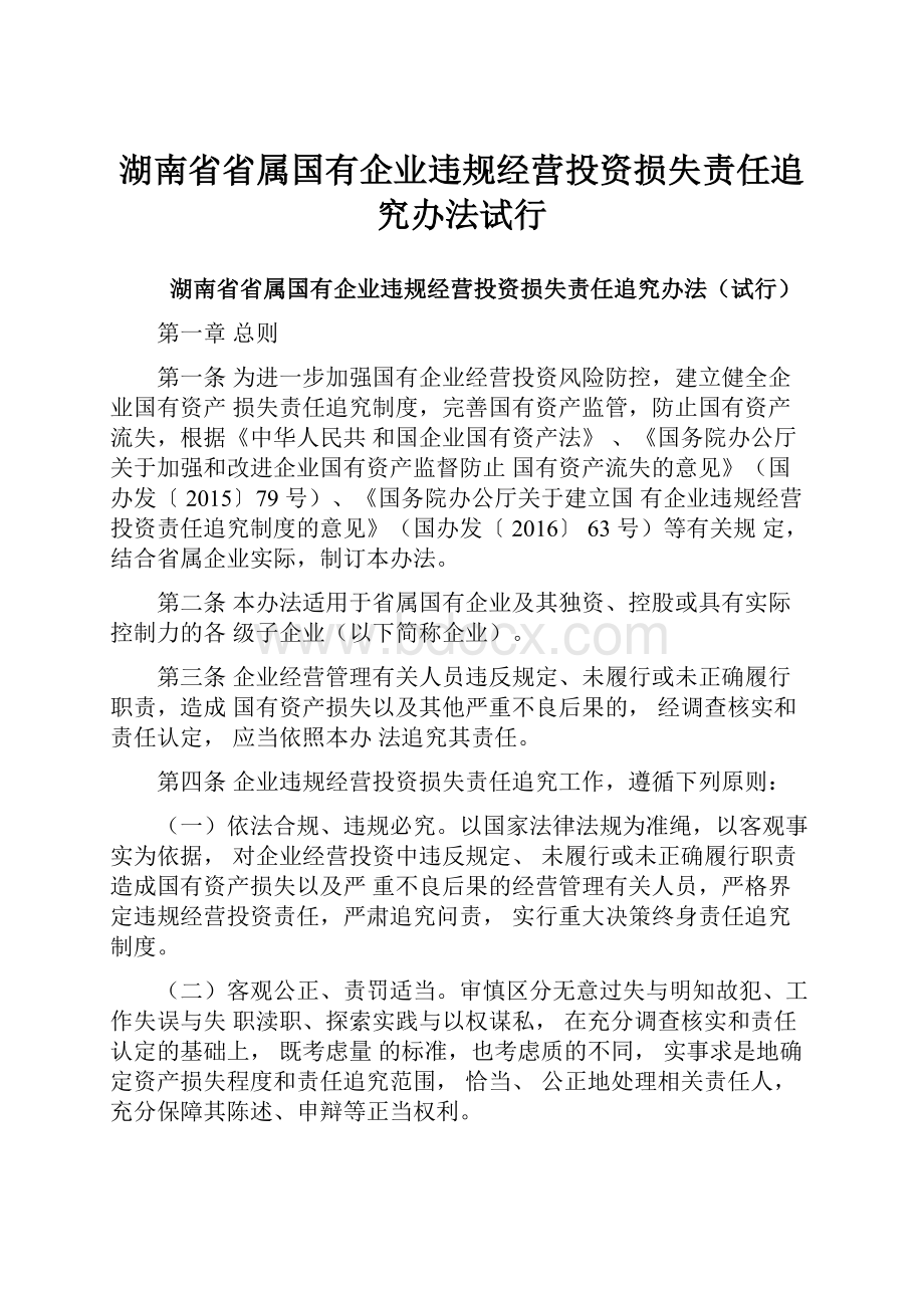 湖南省省属国有企业违规经营投资损失责任追究办法试行.docx_第1页