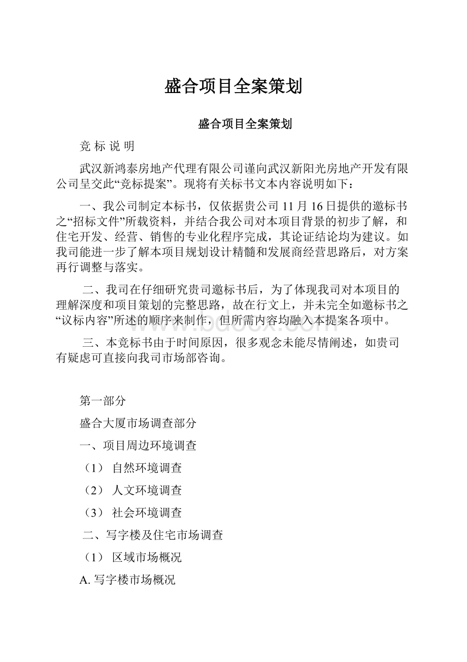 盛合项目全案策划.docx