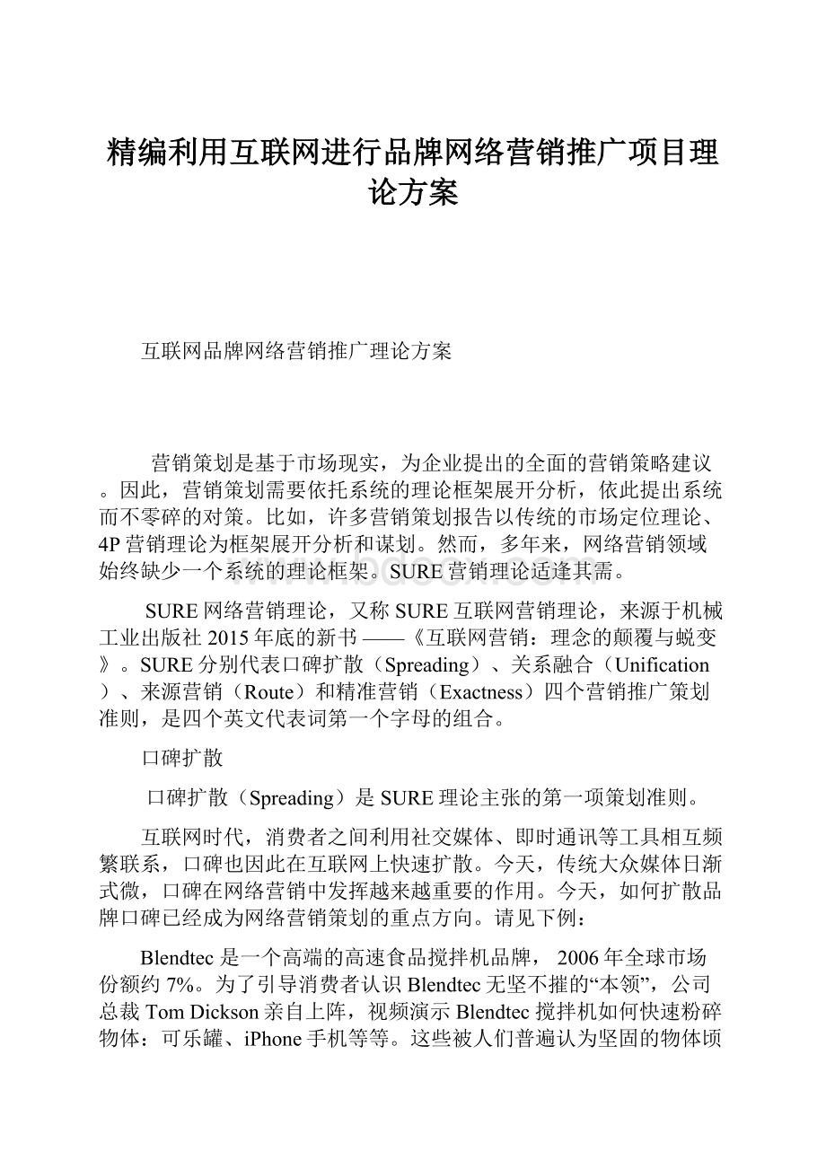 精编利用互联网进行品牌网络营销推广项目理论方案.docx