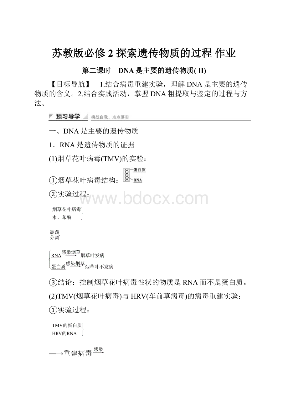 苏教版必修2探索遗传物质的过程 作业.docx_第1页