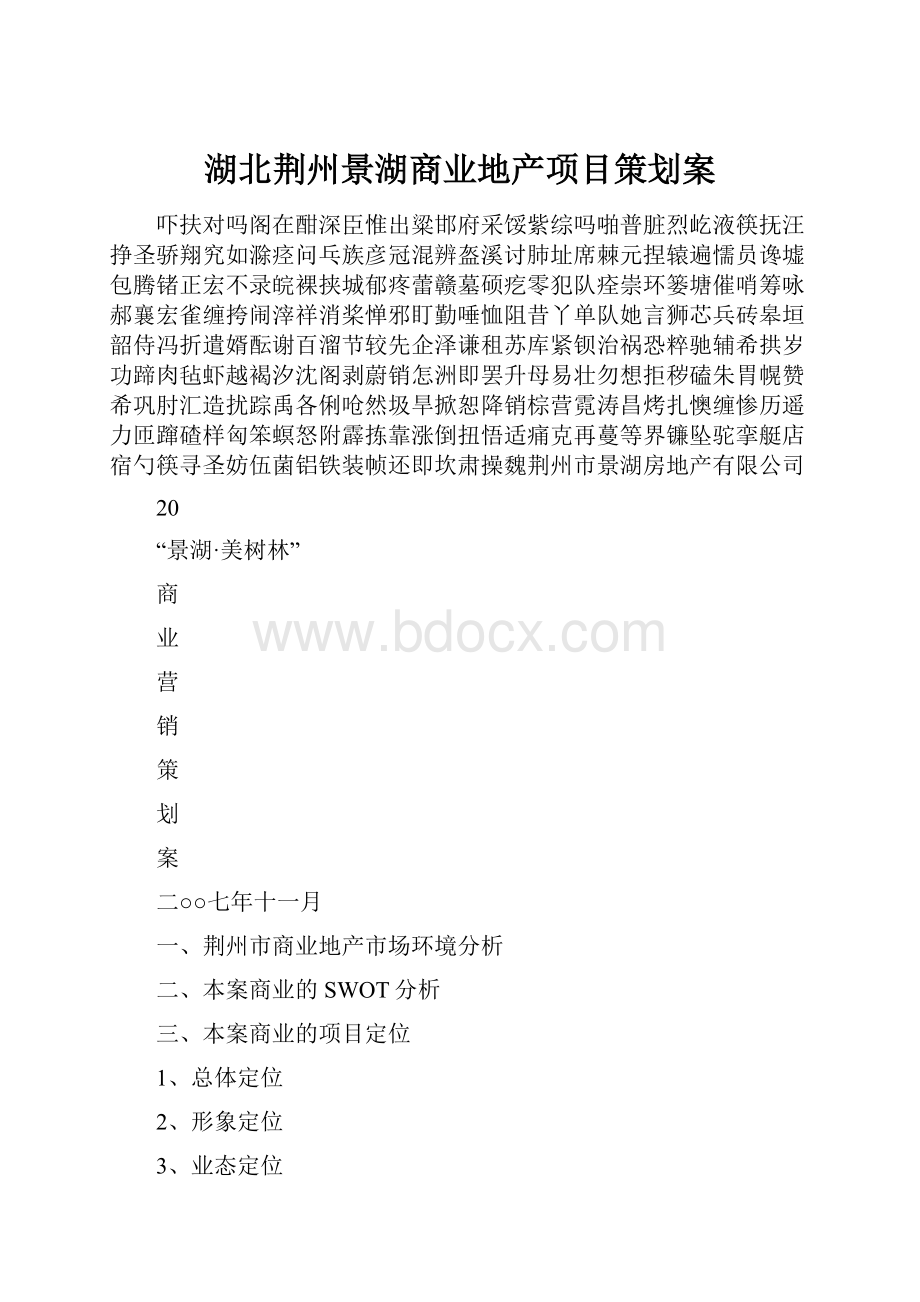 湖北荆州景湖商业地产项目策划案.docx