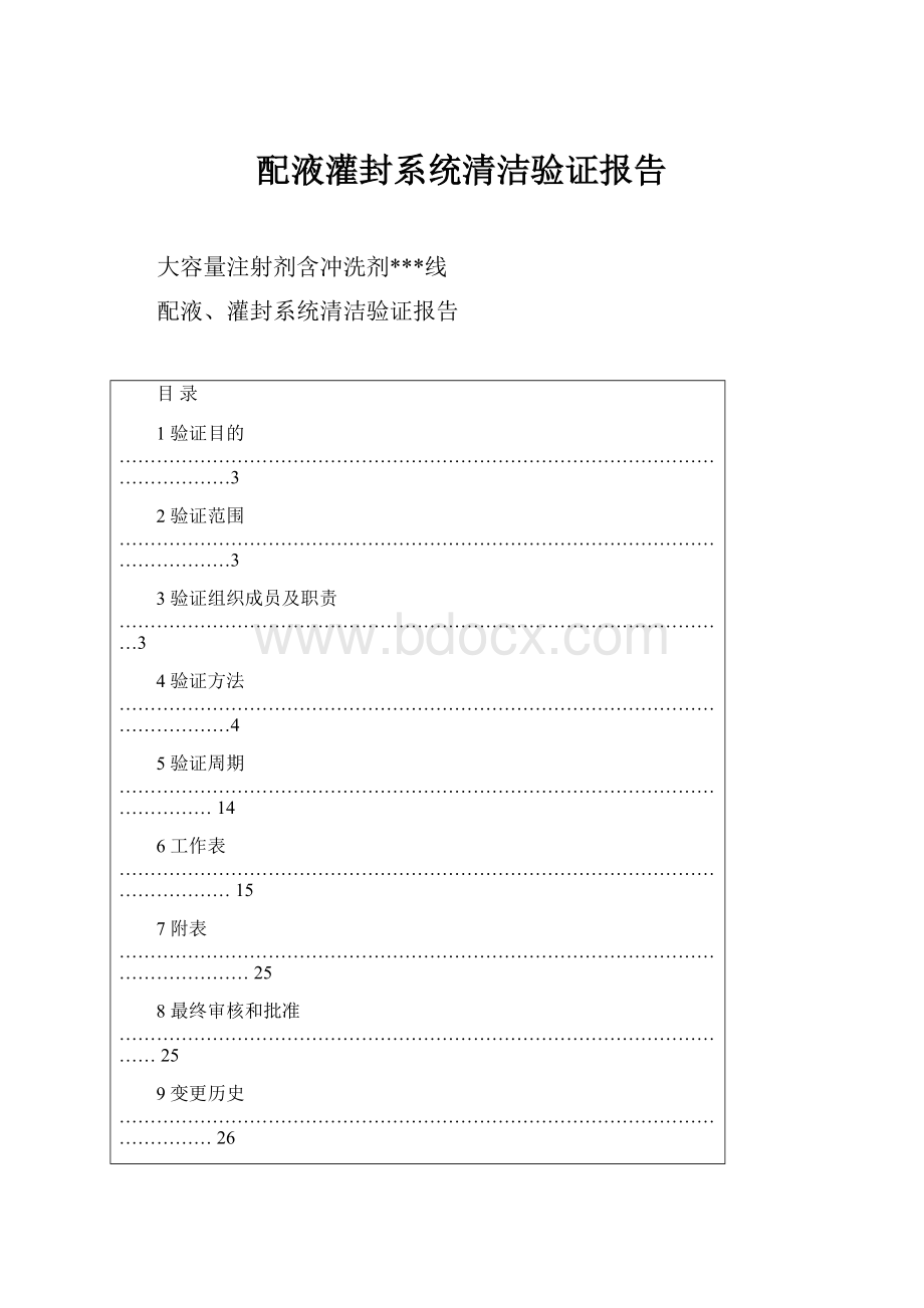 配液灌封系统清洁验证报告.docx