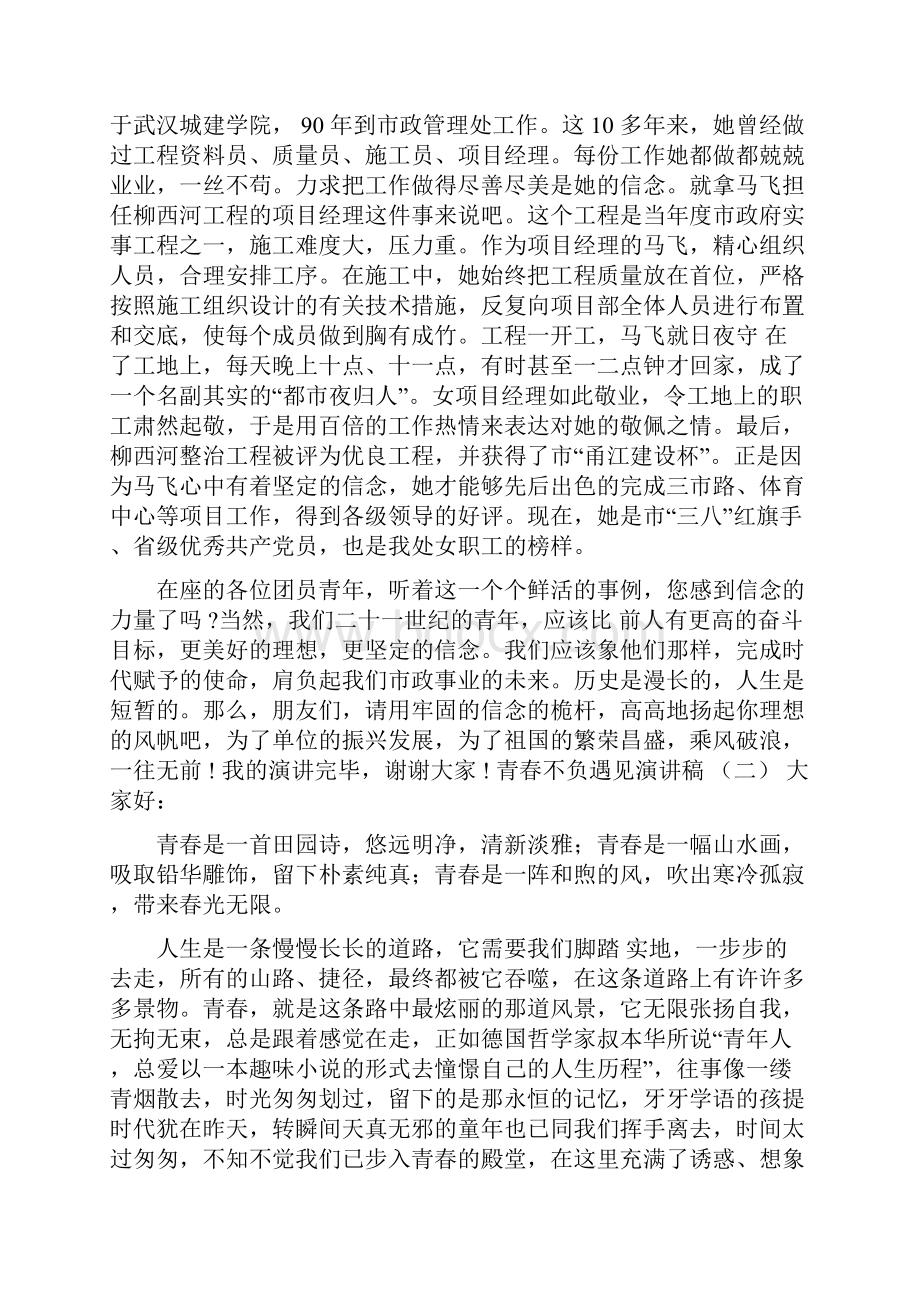 青春不负遇见演讲稿.docx_第2页