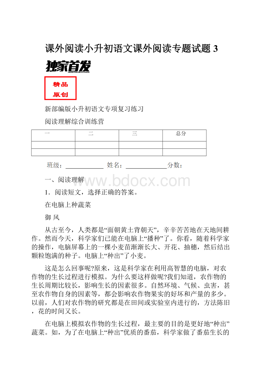 课外阅读小升初语文课外阅读专题试题 3.docx