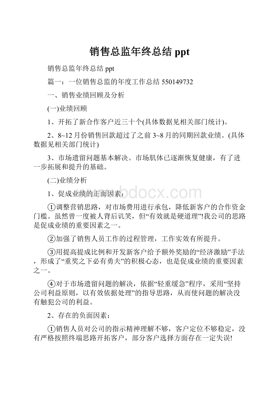 销售总监年终总结ppt.docx_第1页