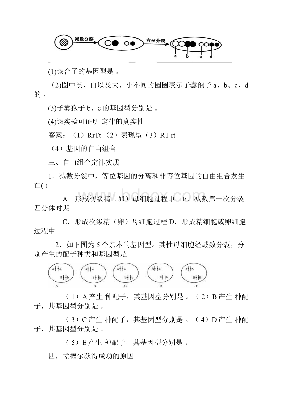 基因的自由组合定律.docx_第3页