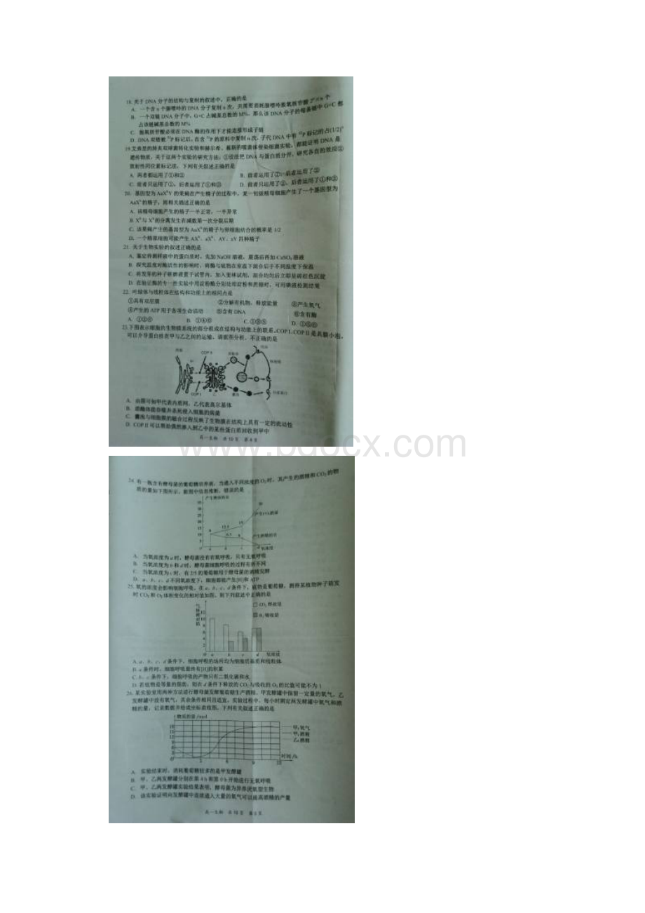 湖北省八所重点高中高一生物下学期期末考试试题扫描.docx_第3页