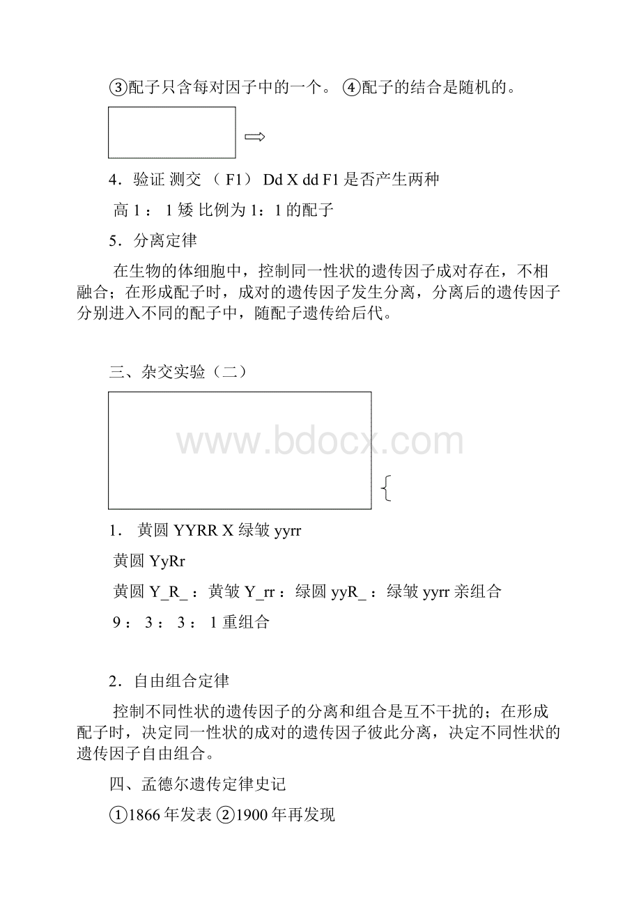 整理高三生物复习系列教案.docx_第3页