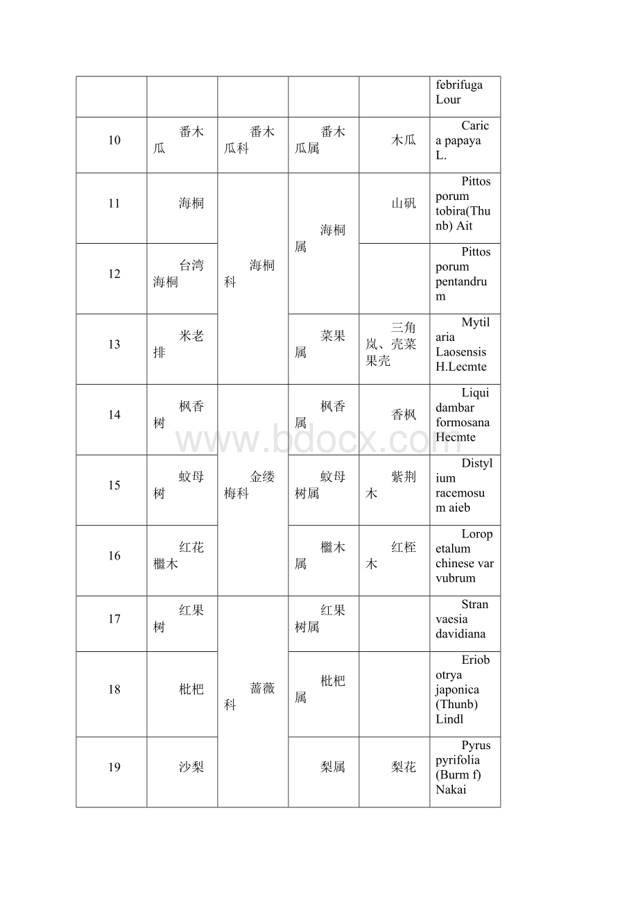 广西北海适宜及园林植物表.docx_第2页