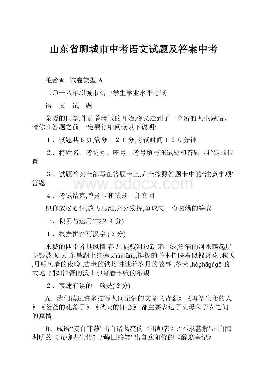 山东省聊城市中考语文试题及答案中考.docx