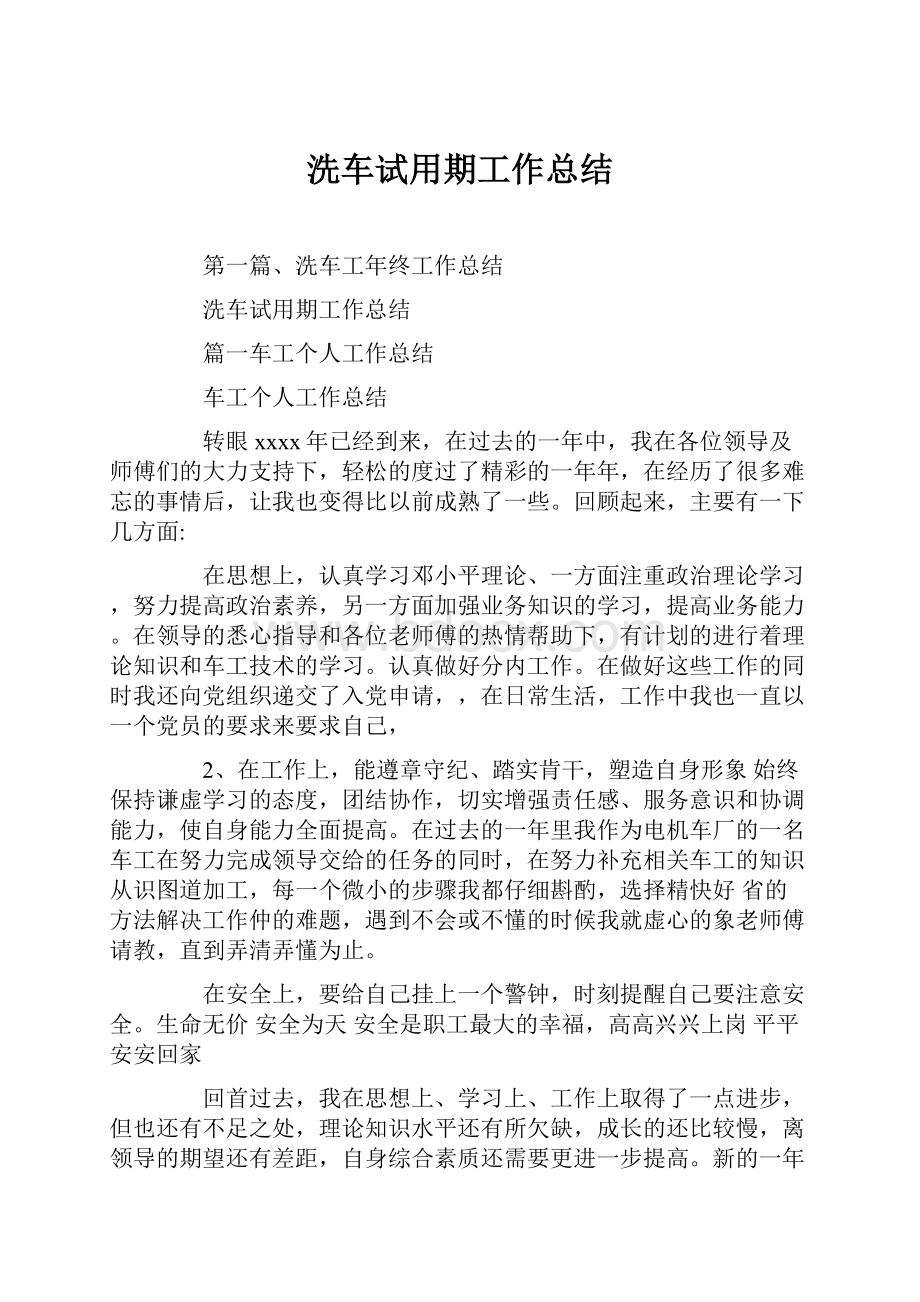 洗车试用期工作总结.docx_第1页