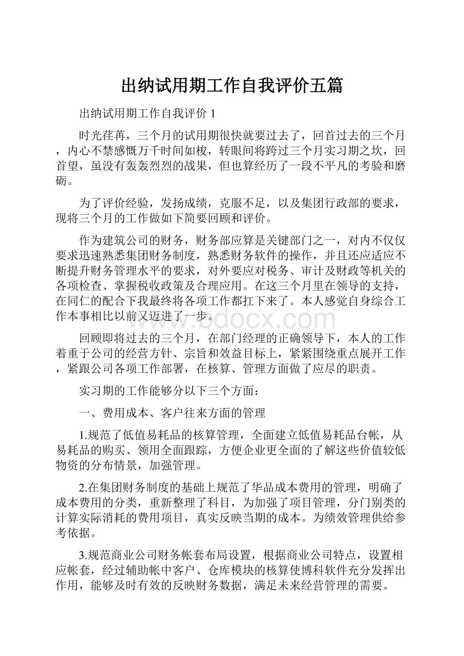 出纳试用期工作自我评价五篇.docx