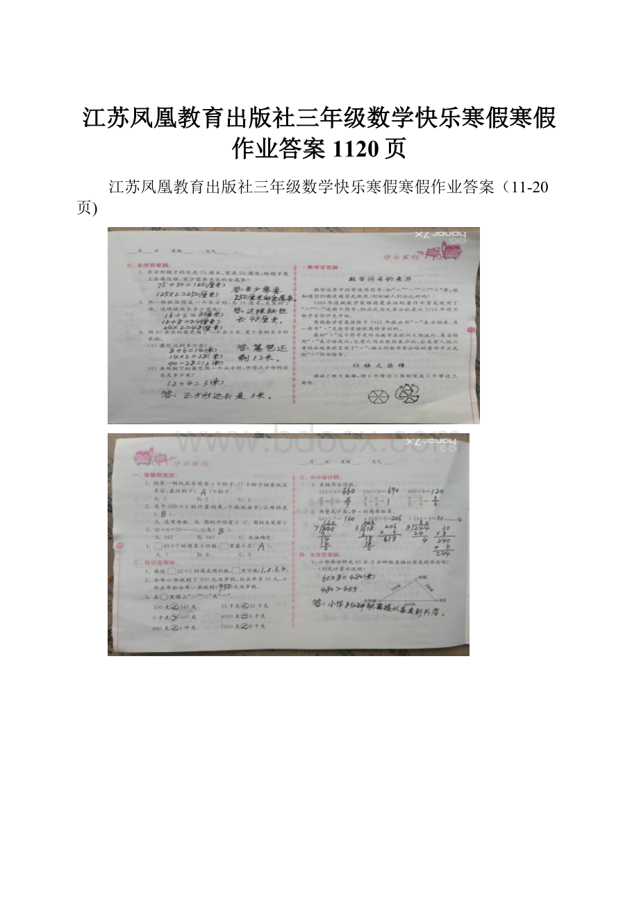 江苏凤凰教育出版社三年级数学快乐寒假寒假作业答案1120页.docx_第1页