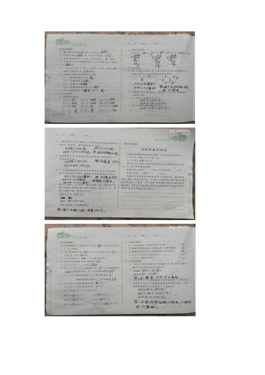 江苏凤凰教育出版社三年级数学快乐寒假寒假作业答案1120页.docx_第3页