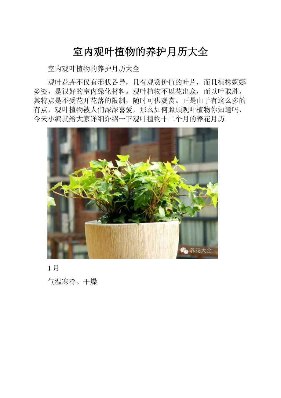 室内观叶植物的养护月历大全.docx