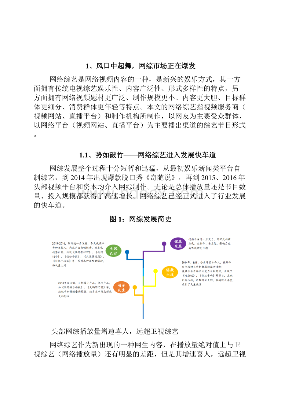 网络综艺行业展望调研投资分析报告.docx_第2页