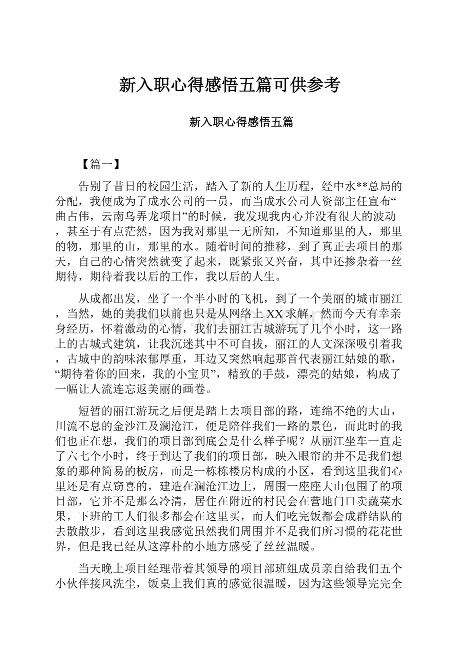 新入职心得感悟五篇可供参考.docx