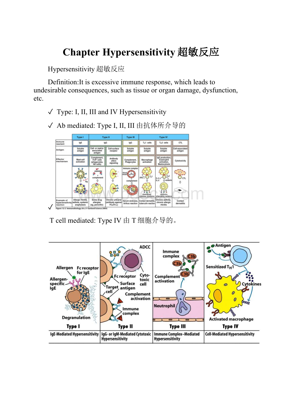 Chapter Hypersensitivity超敏反应.docx