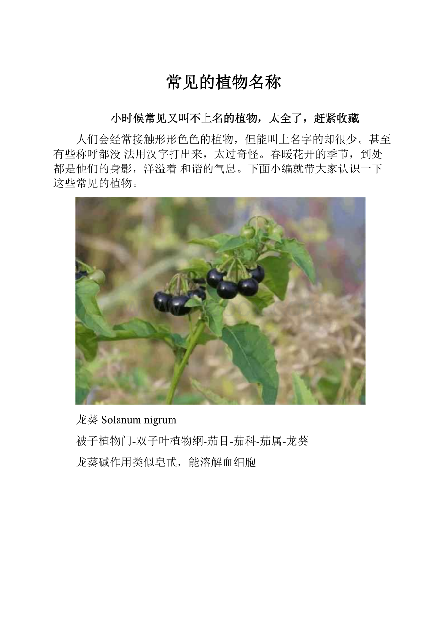 常见的植物名称.docx