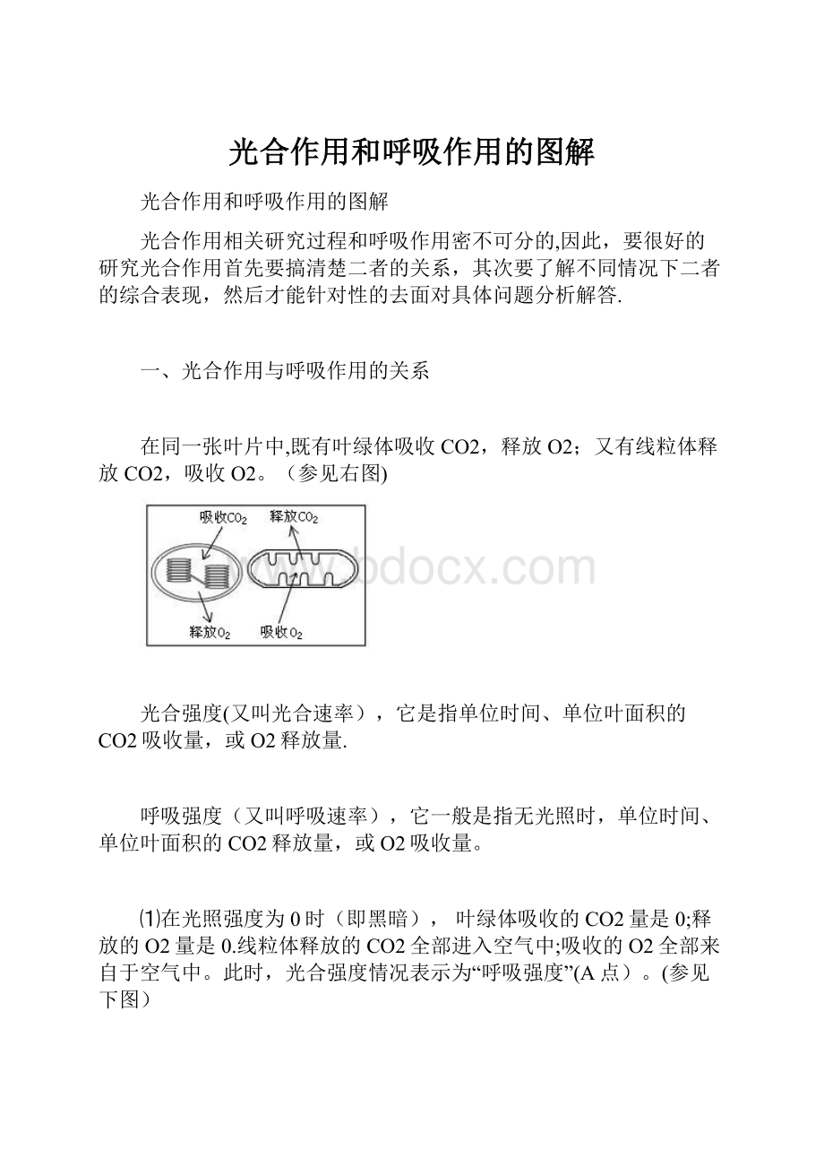 光合作用和呼吸作用的图解.docx