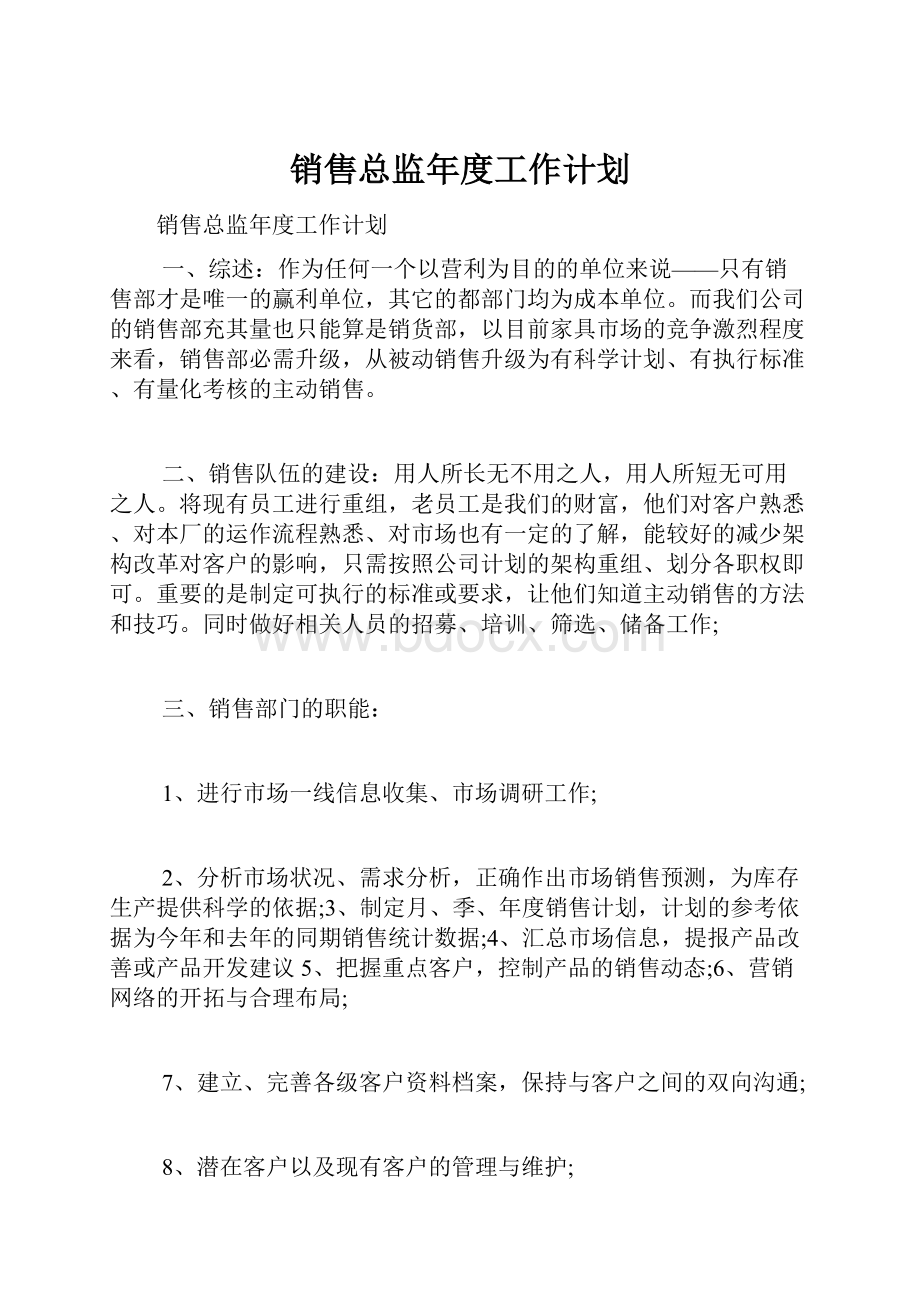 销售总监年度工作计划.docx