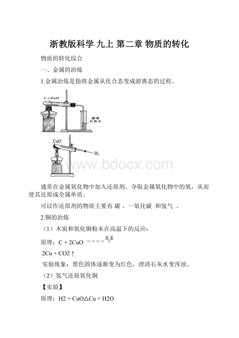 浙教版科学 九上 第二章 物质的转化.docx