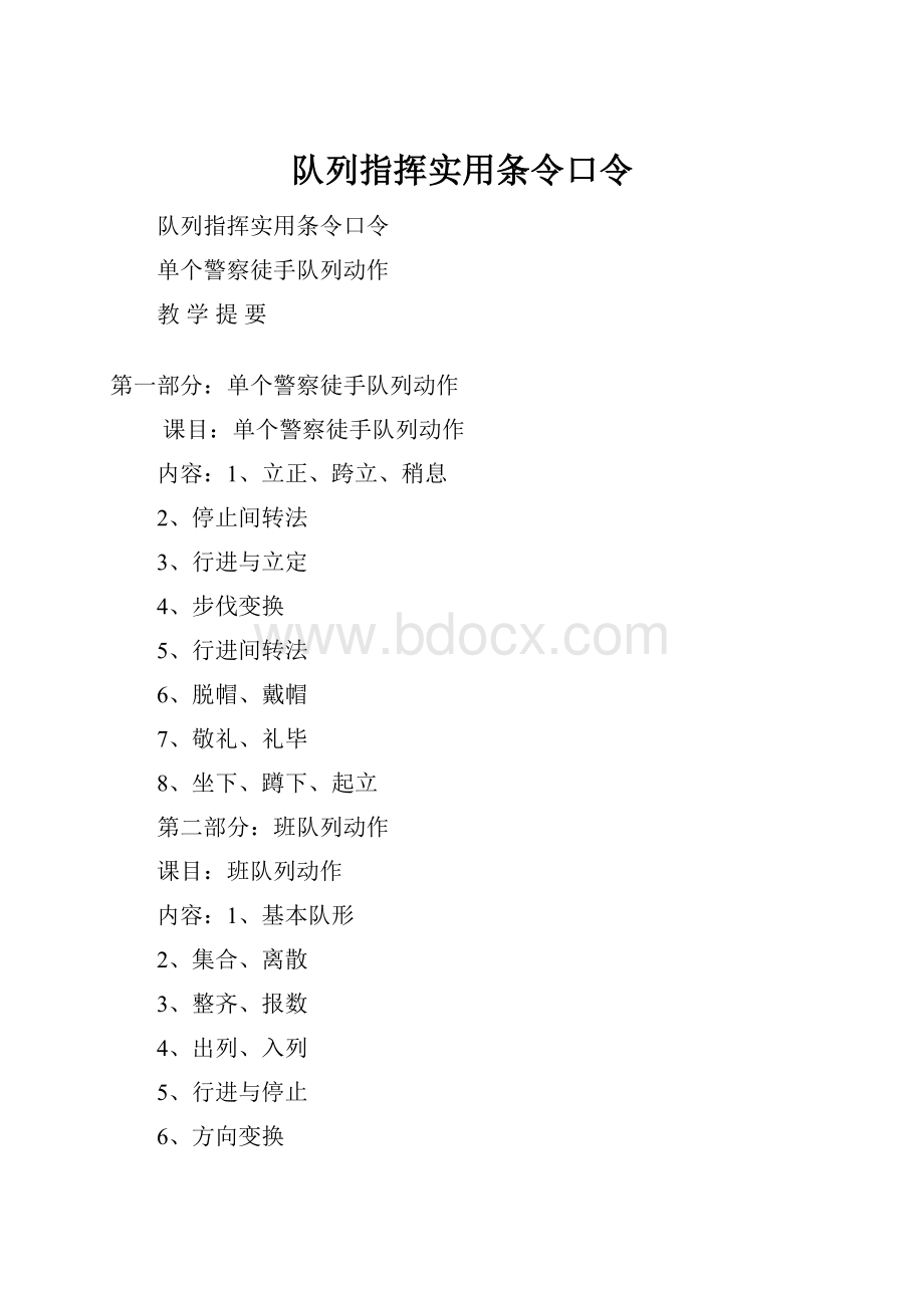 队列指挥实用条令口令.docx