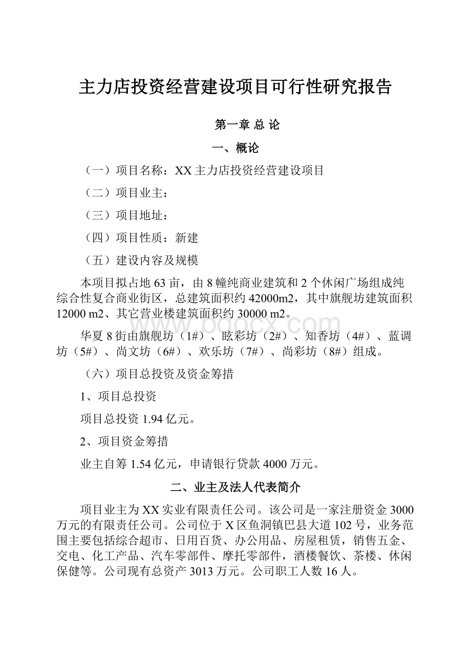 主力店投资经营建设项目可行性研究报告.docx_第1页