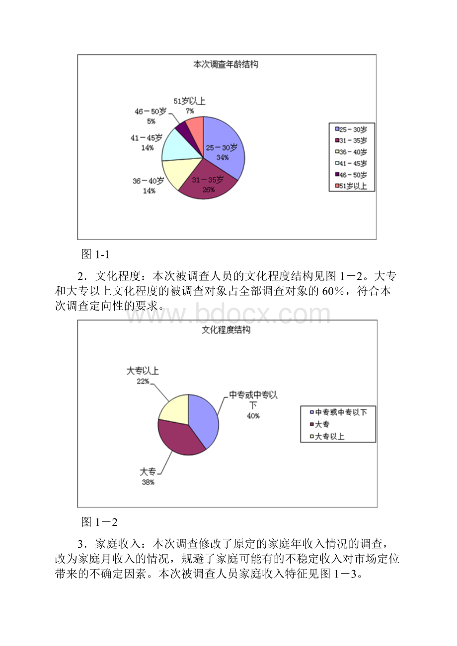 项目前期广告投放市场效果评估报告.docx_第2页