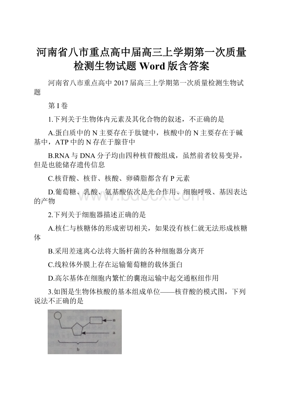 河南省八市重点高中届高三上学期第一次质量检测生物试题Word版含答案.docx