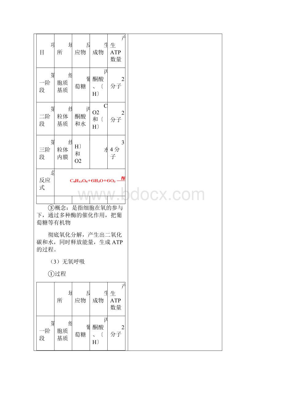 细胞呼吸导学案及答案.docx_第2页