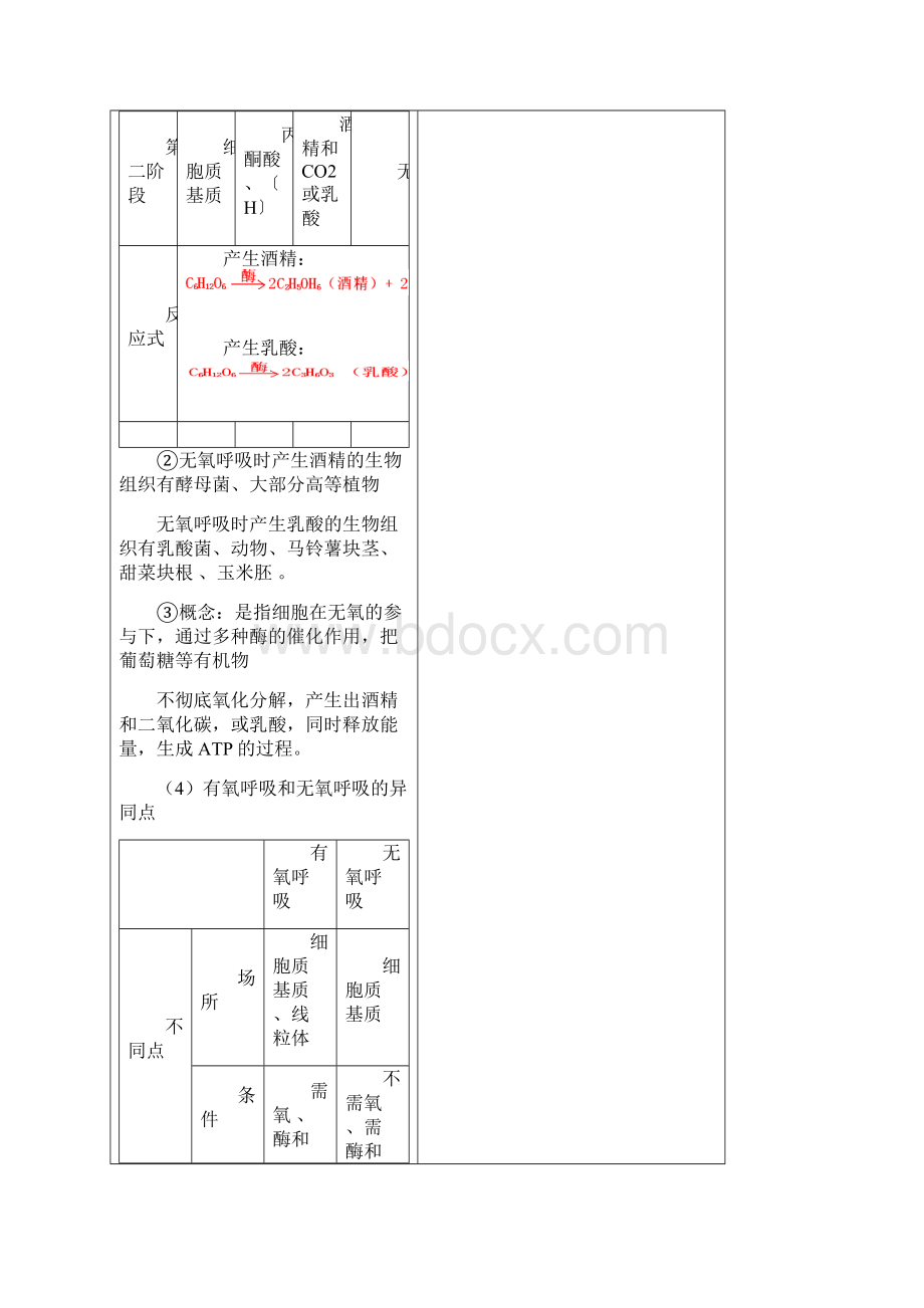 细胞呼吸导学案及答案.docx_第3页