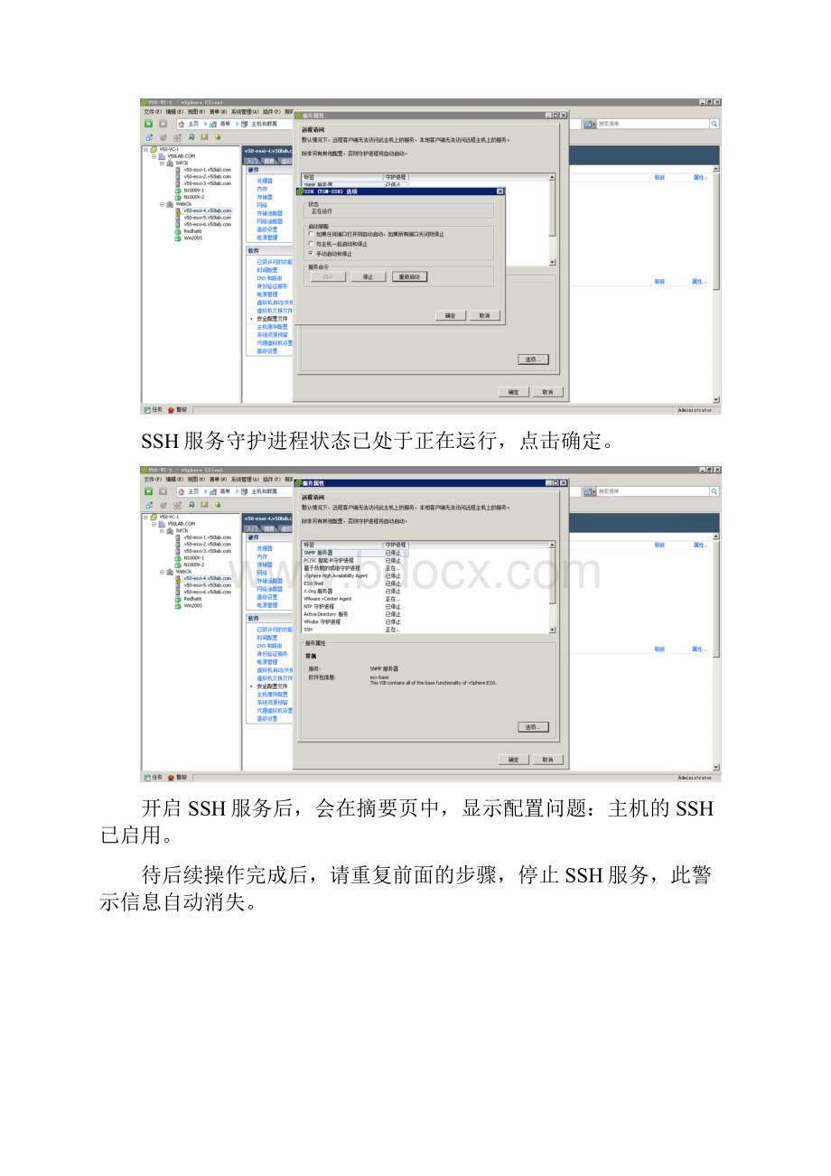 在ESXi中启用VNC控制台访问功能加强版.docx_第3页