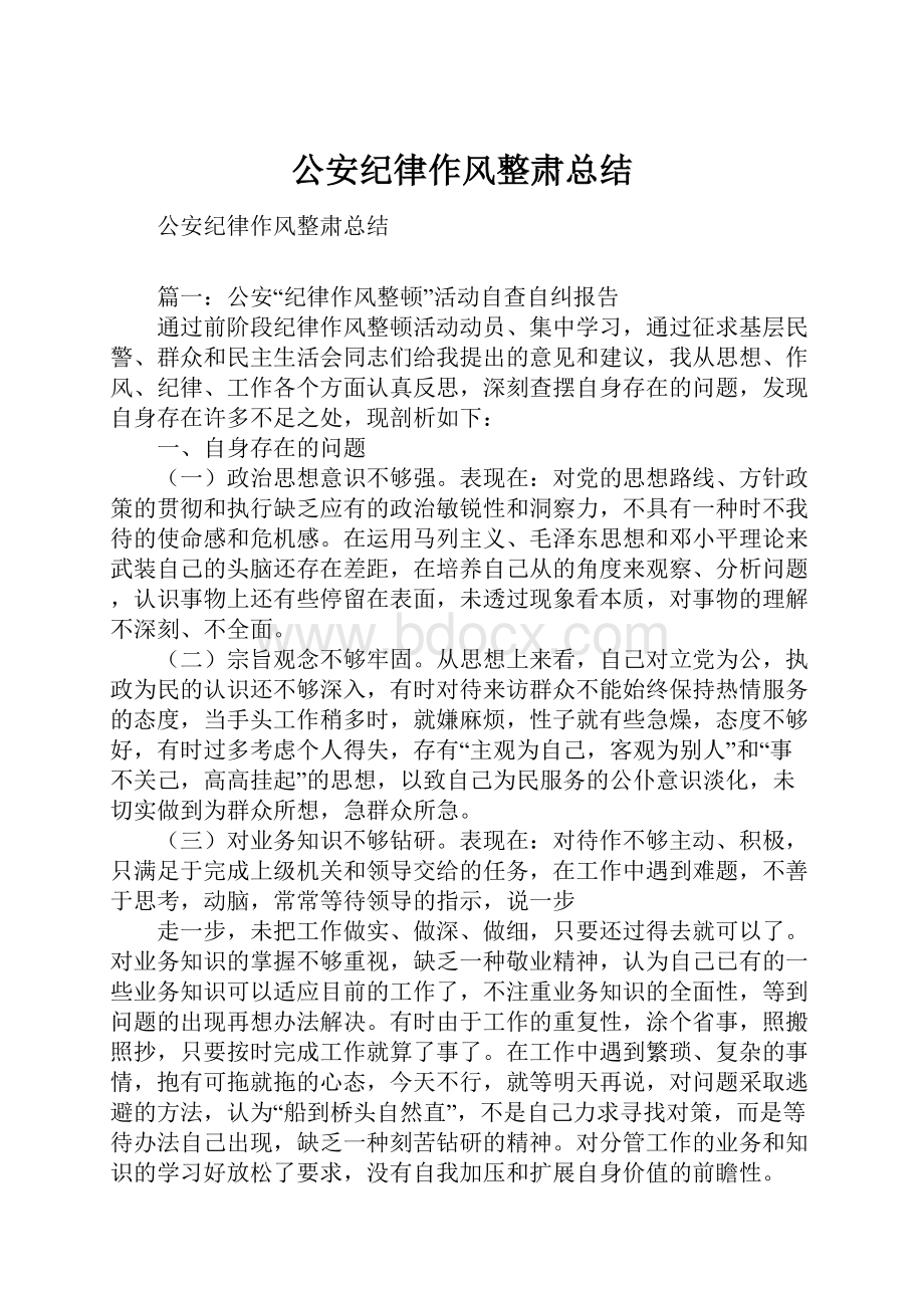 公安纪律作风整肃总结.docx