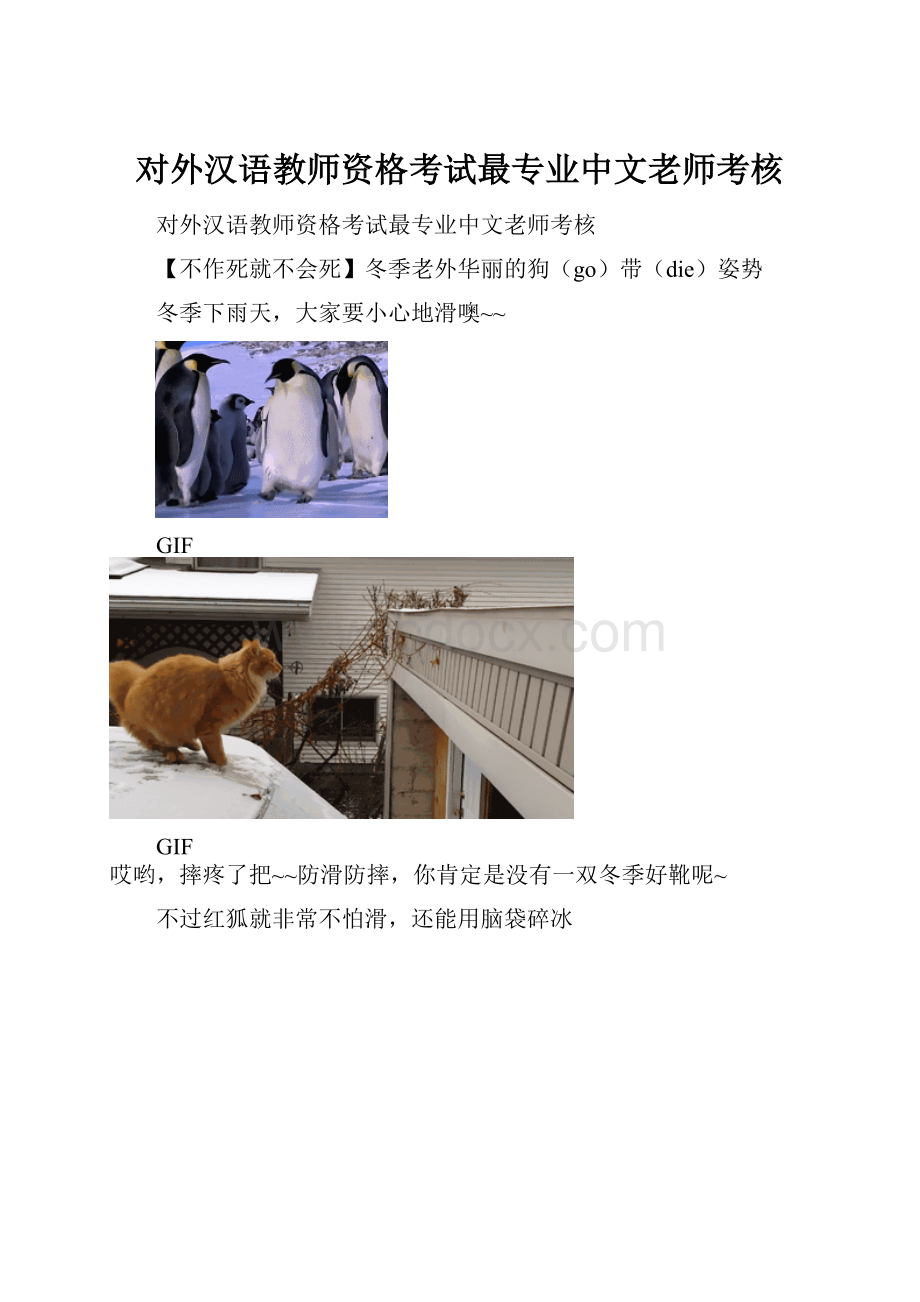 对外汉语教师资格考试最专业中文老师考核.docx_第1页