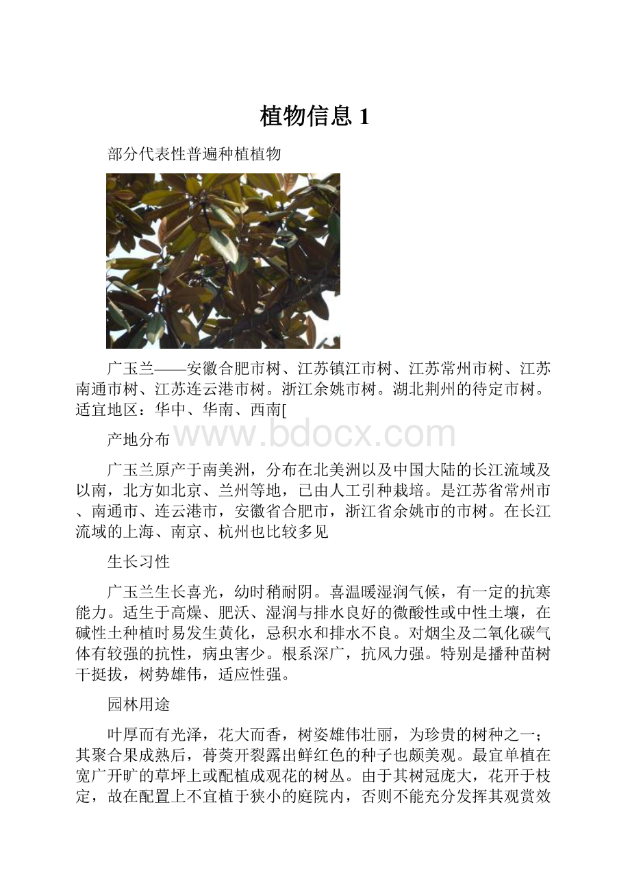 植物信息1.docx