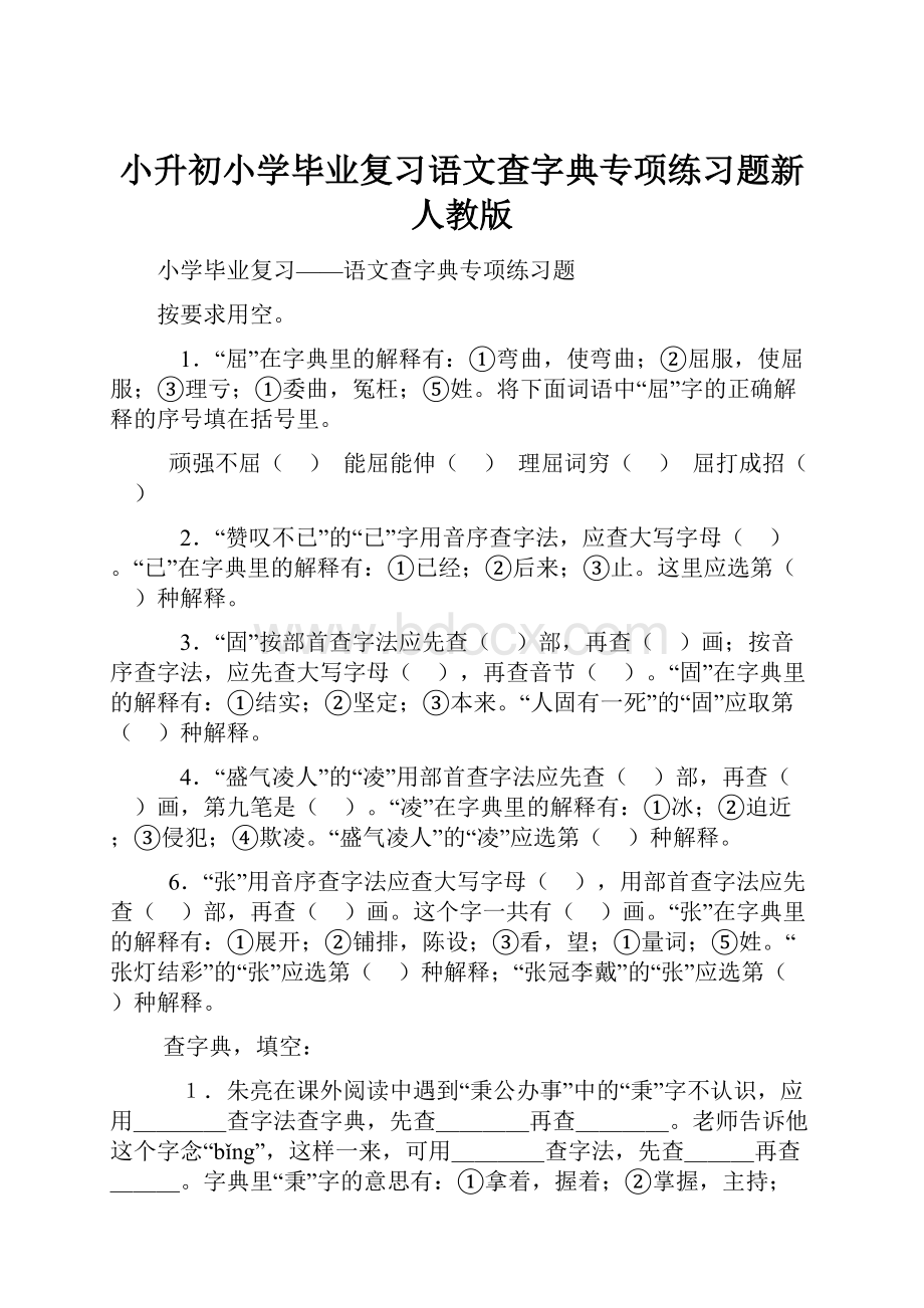 小升初小学毕业复习语文查字典专项练习题新人教版.docx