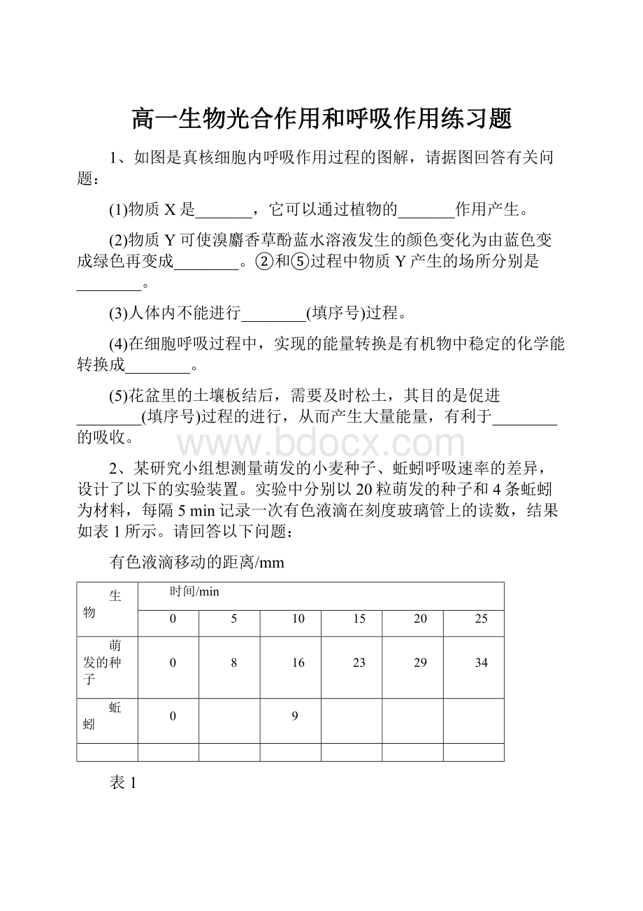 高一生物光合作用和呼吸作用练习题.docx